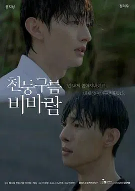 【韩国剧】雷云暴雨